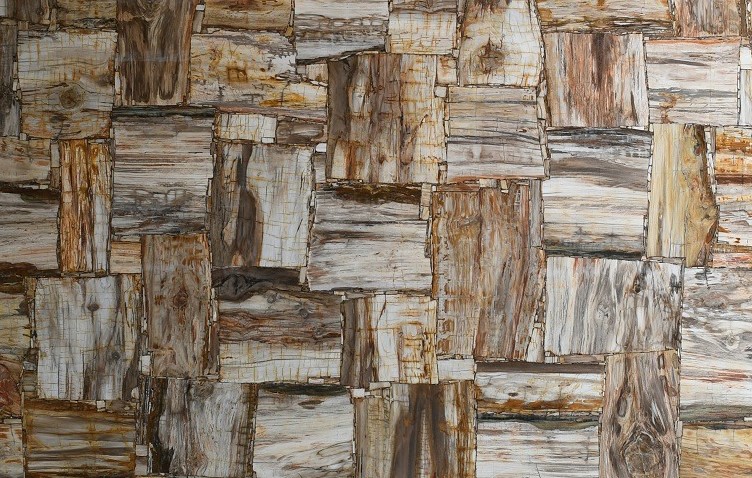 Semiprecious - Petrified wood beige retro